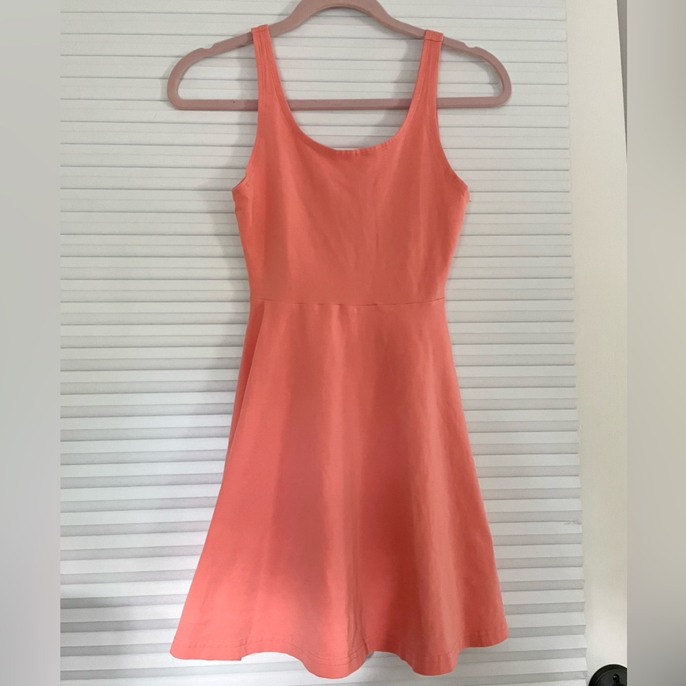 Express Skater Dress